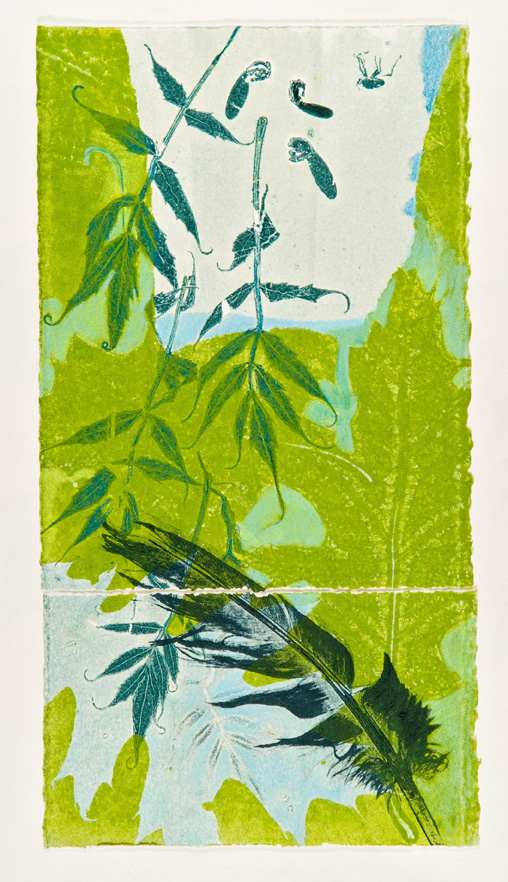 Leaves With Spider And Feathers by Casey Blanchard, Image 1.