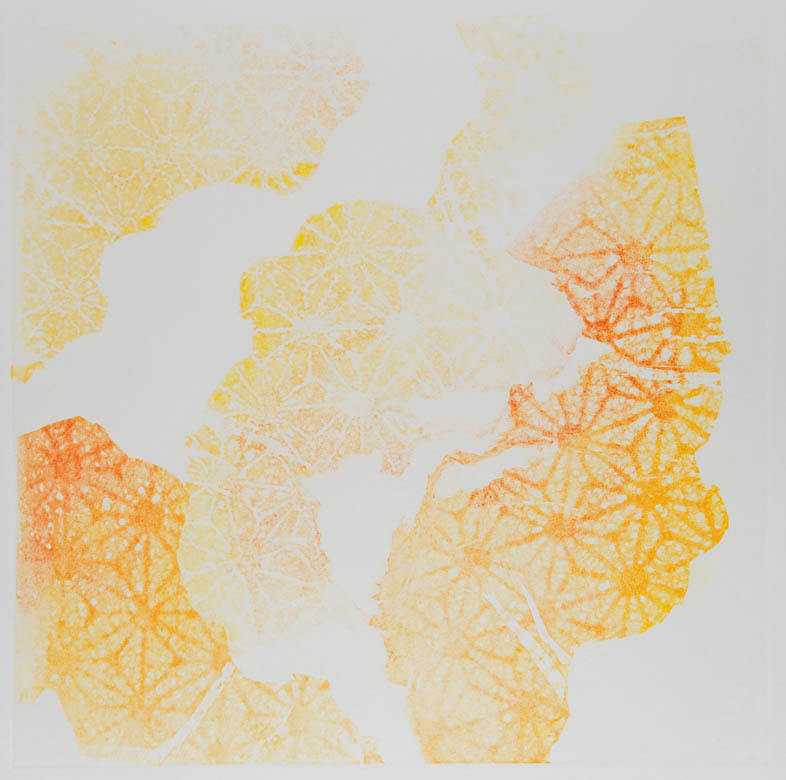 Roger's Day 11 by Casey Blanchard 