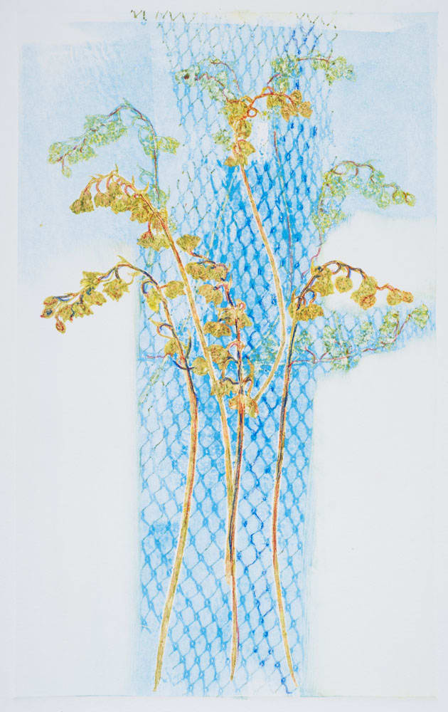 Stems in the Clouds by Casey Blanchard, Image 1.