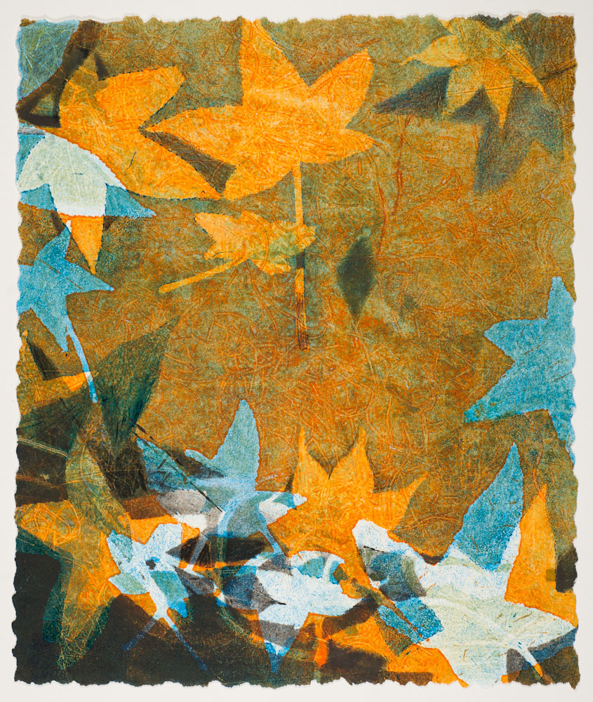 Falling Leaves 14 by Casey Blanchard 