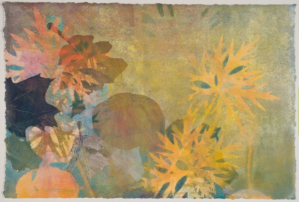 Summer Nights 8 by Casey Blanchard, Image 1.