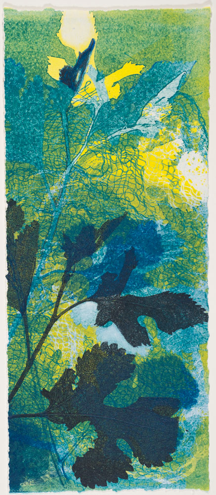 Summer Nights 9 by Casey Blanchard 