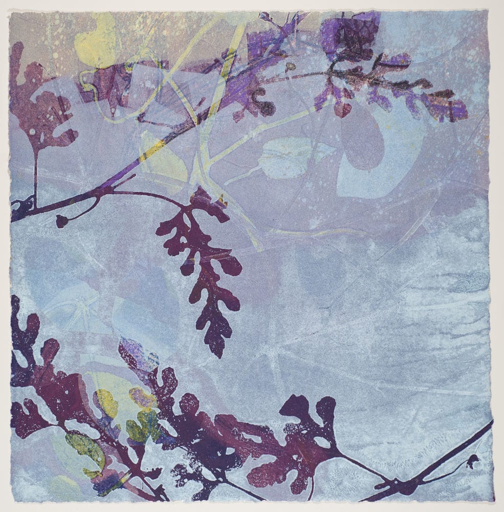 Summer Nights 12 by Casey Blanchard, Image 1.