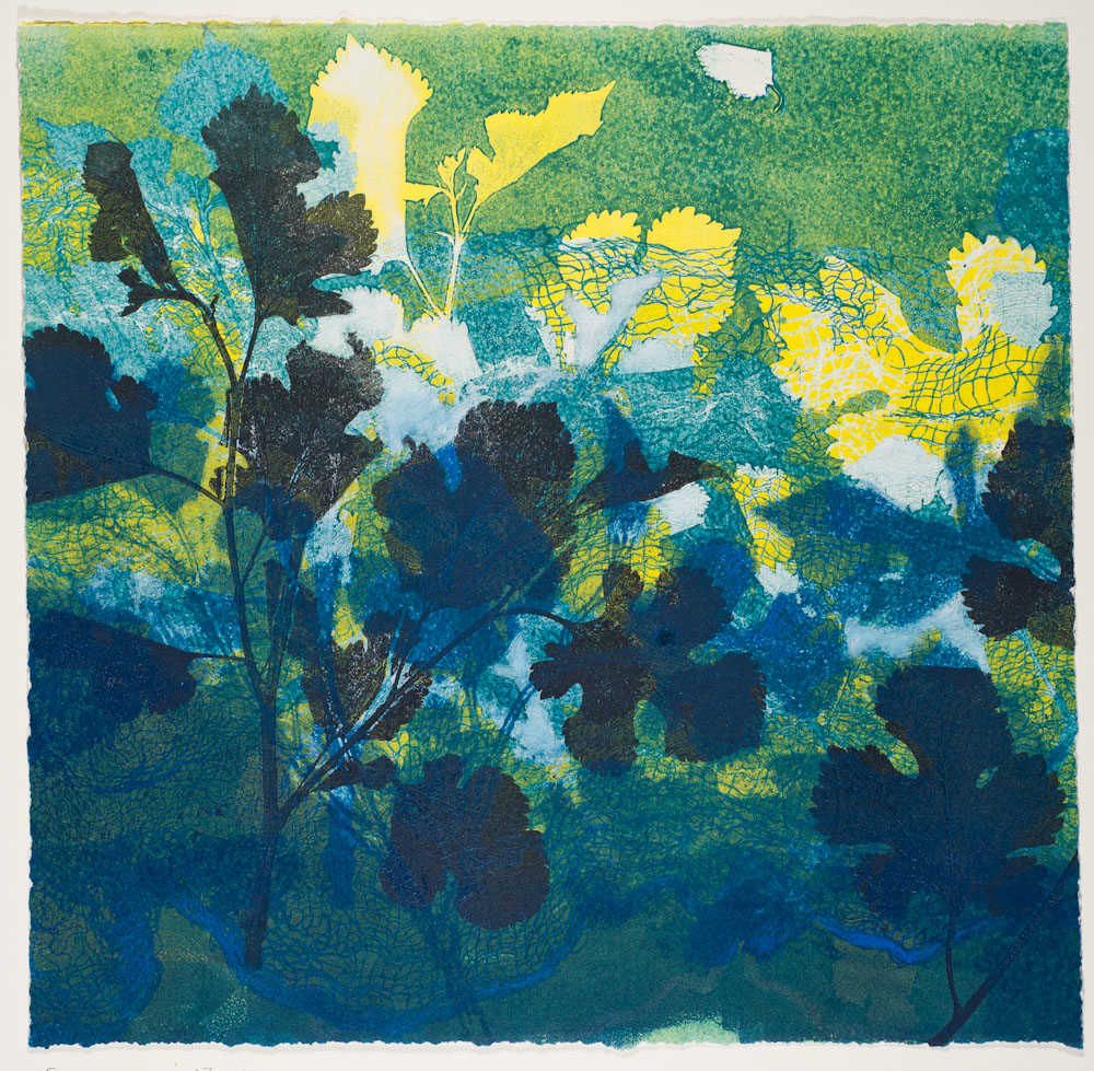 Summer Nights 13 by Casey Blanchard, Image 1.