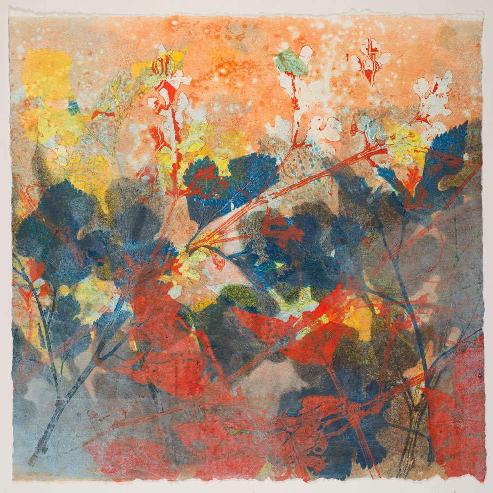 Summer Nights 14 by Casey Blanchard, Image 1.