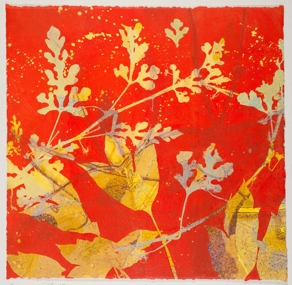 Summer Nights 15 by Casey Blanchard, Image 1.