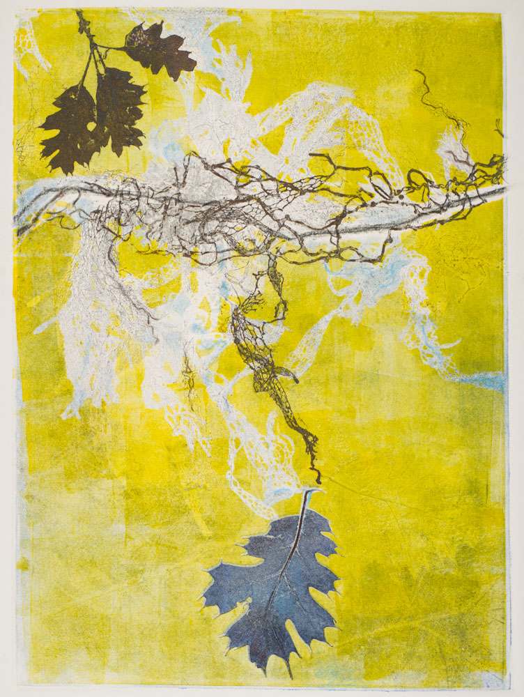 Glen Ellen 1 by Casey Blanchard, Image 1.