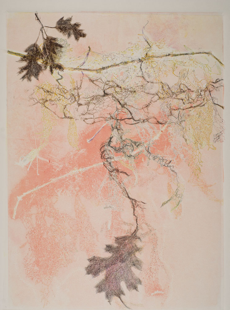 Glen Ellen 2 by Casey Blanchard 