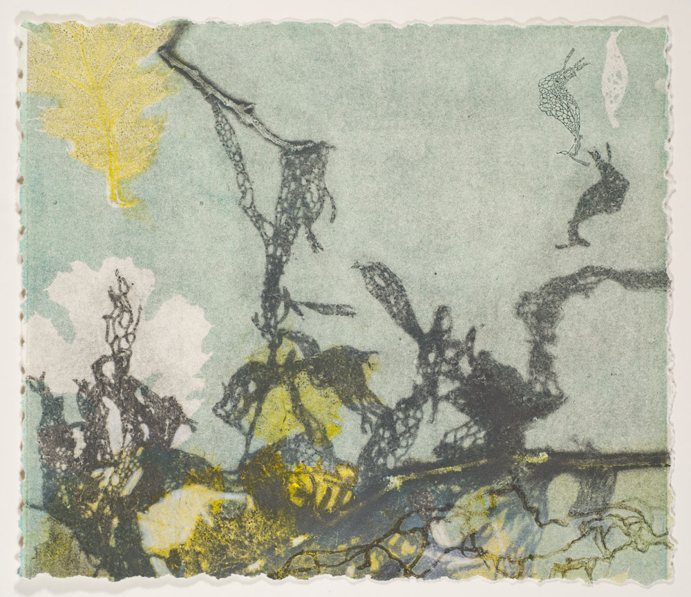 Glen Ellen 3 by Casey Blanchard 