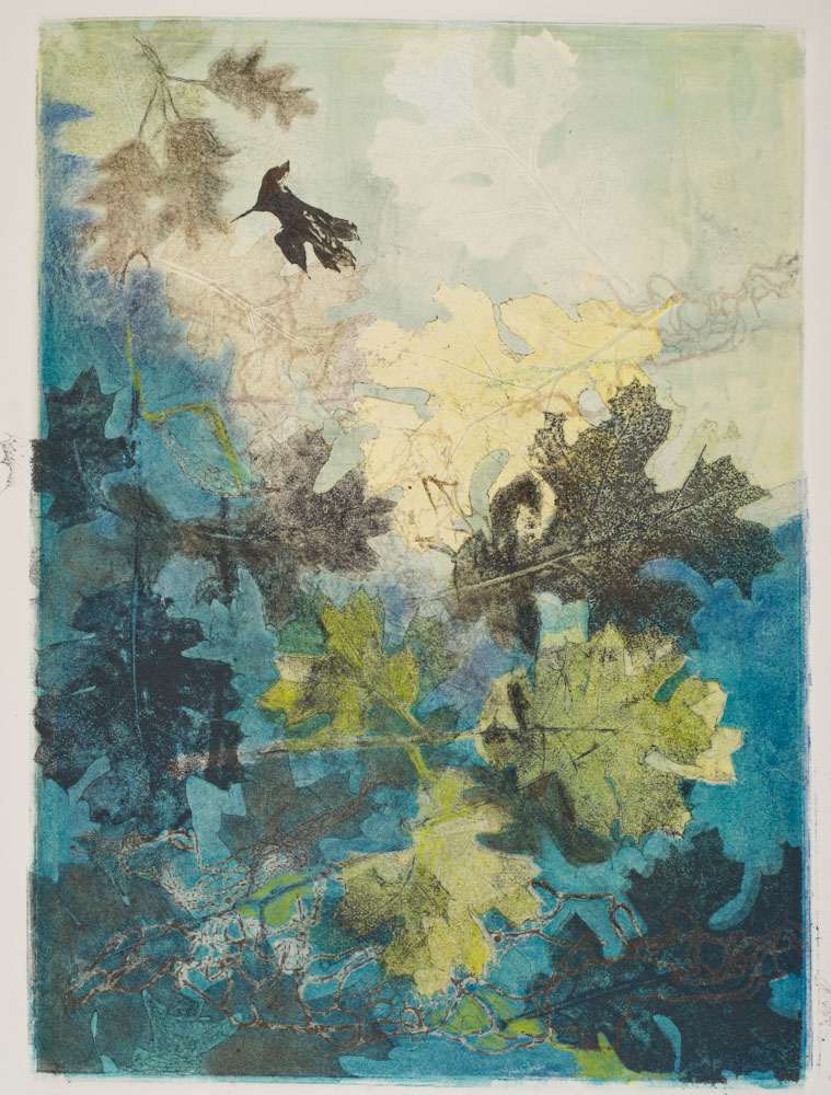 Glen Ellen 4 by Casey Blanchard, Image 1.