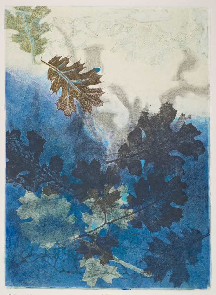 Glen Ellen 5 by Casey Blanchard, Image 1.