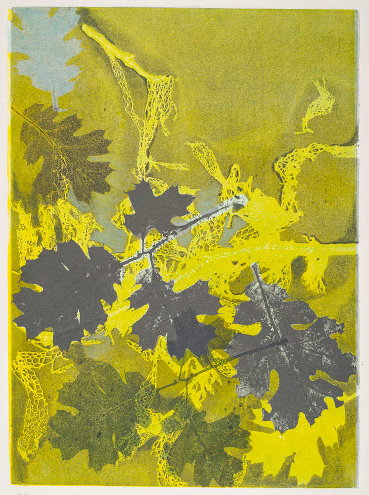 Glen Ellen 6 by Casey Blanchard, Image 1.