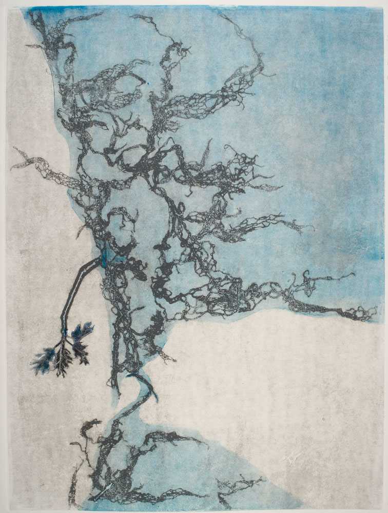 Glen Ellen 7 by Casey Blanchard, Image 1.