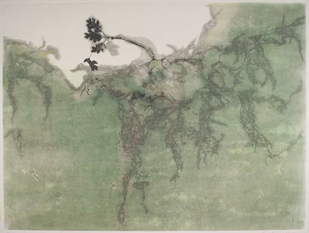 Glen Ellen 8 by Casey Blanchard, Image 1.