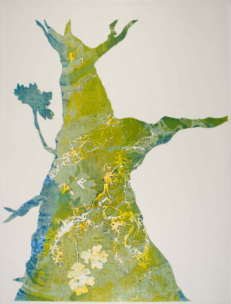 Glen Ellen 9 by Casey Blanchard, Image 1.