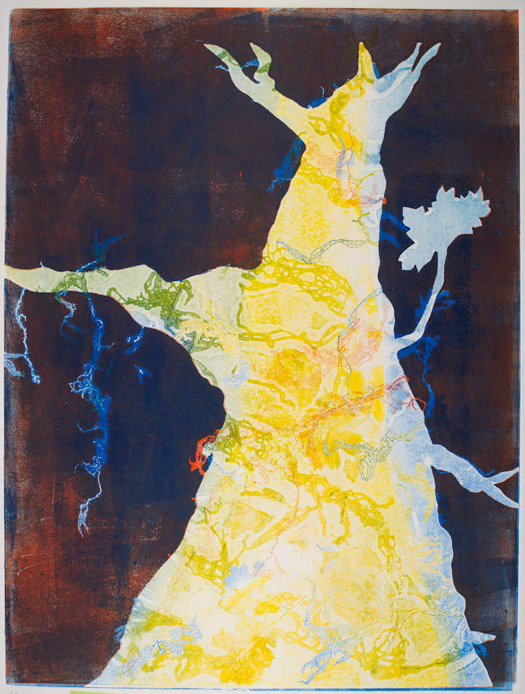 Glen Ellen 10 by Casey Blanchard, Image 1.