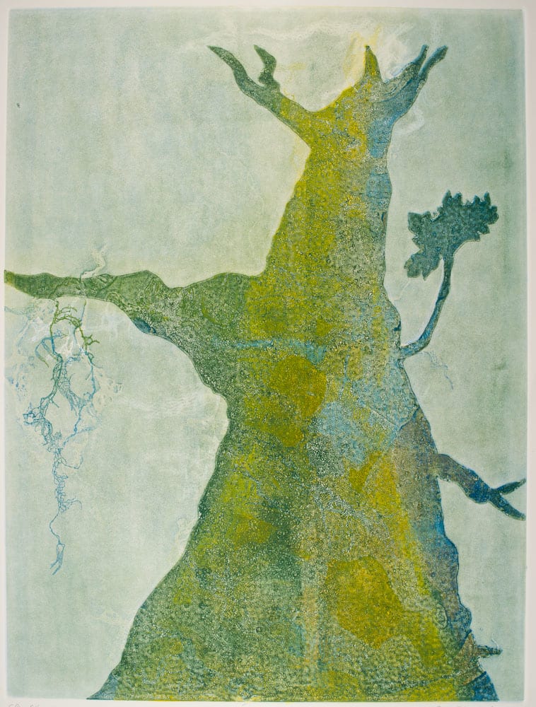 Glen Ellen 11 by Casey Blanchard, Image 1.