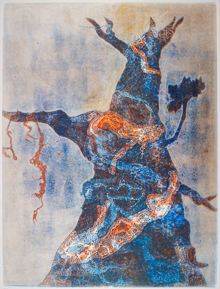 Glen Ellen 12 by Casey Blanchard, Image 1.