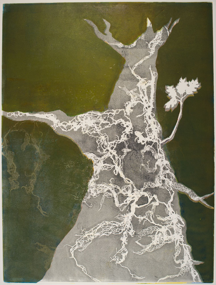 Glen Ellen 13 by Casey Blanchard 