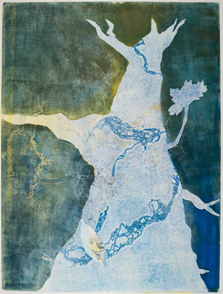 Glen Ellen 14 by Casey Blanchard, Image 1.