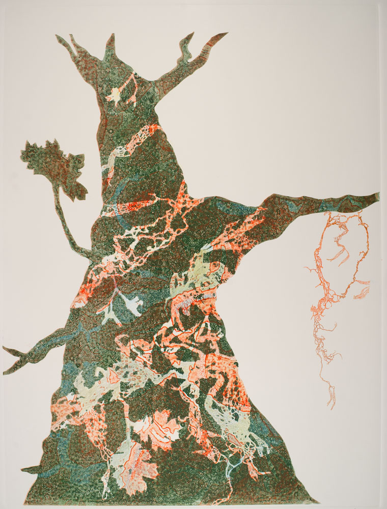 Glen Ellen 15 by Casey Blanchard 