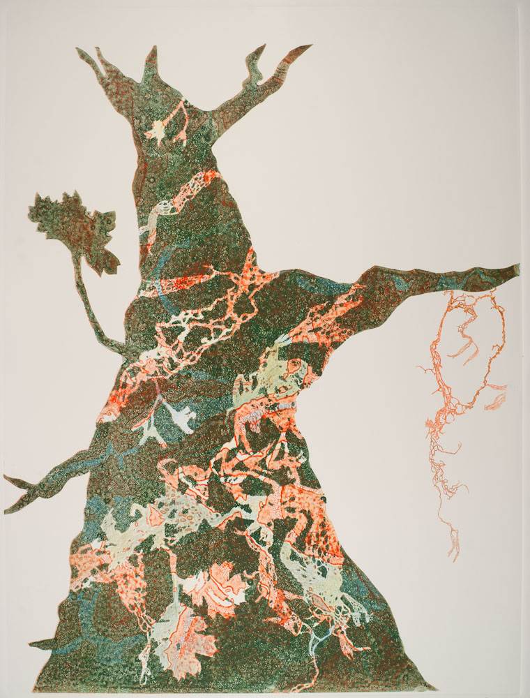 Glen Ellen 15 by Casey Blanchard, Image 1.