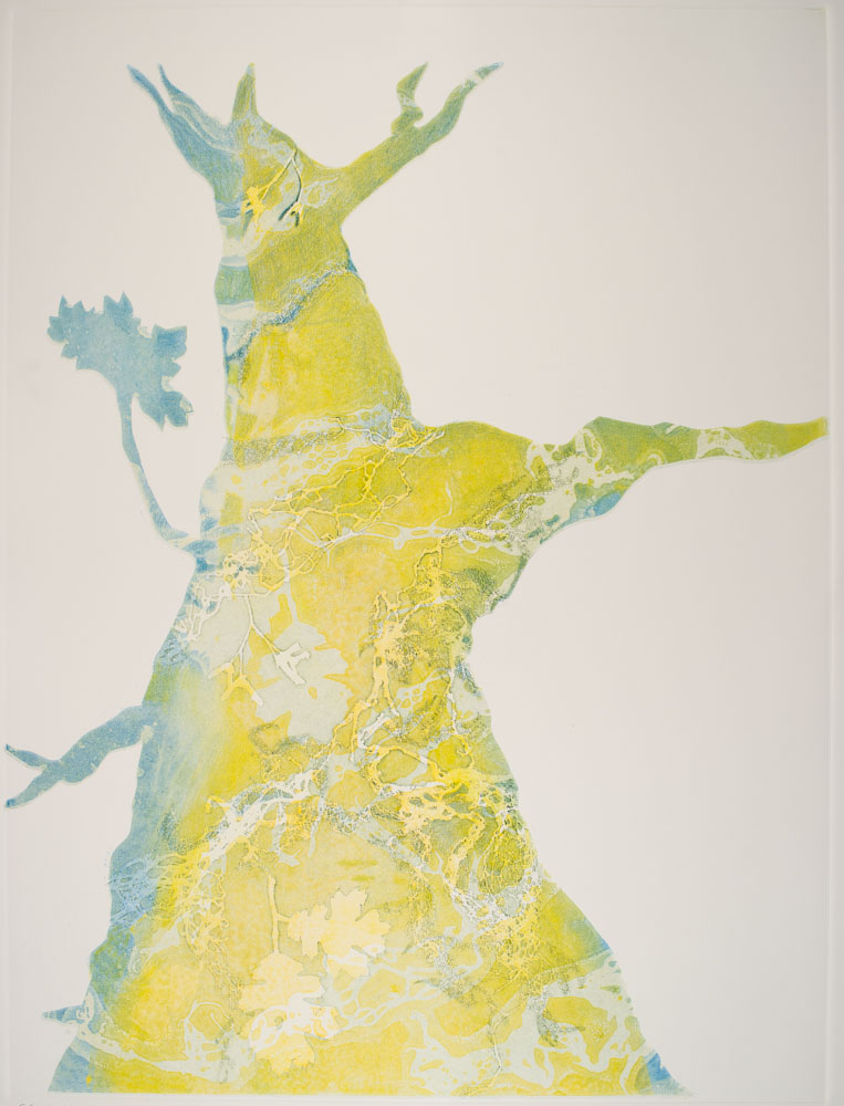 Glen Ellen 16 by Casey Blanchard 