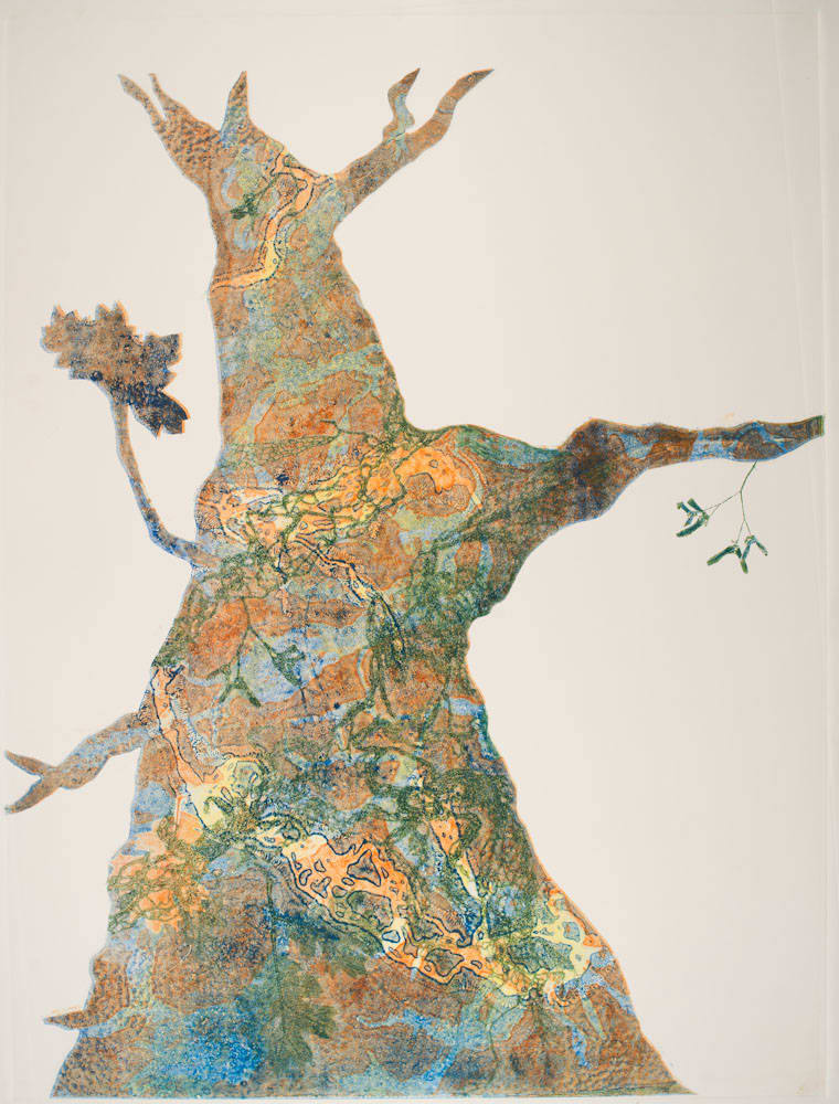 Glen Ellen 17 by Casey Blanchard, Image 1.