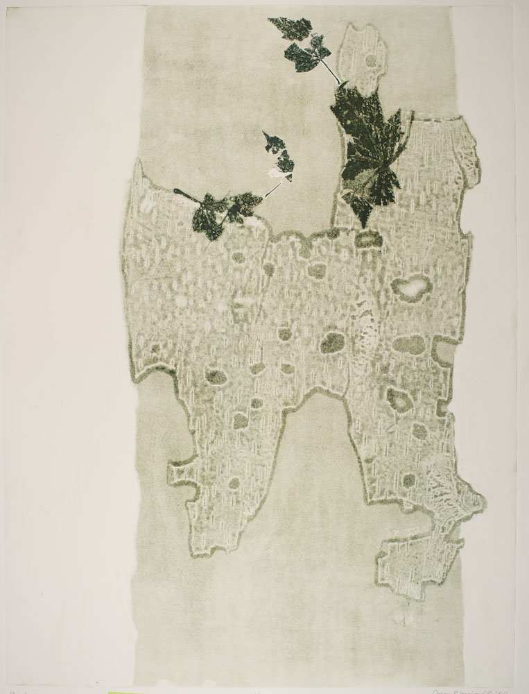 Birch 1 by Casey Blanchard, Image 1.