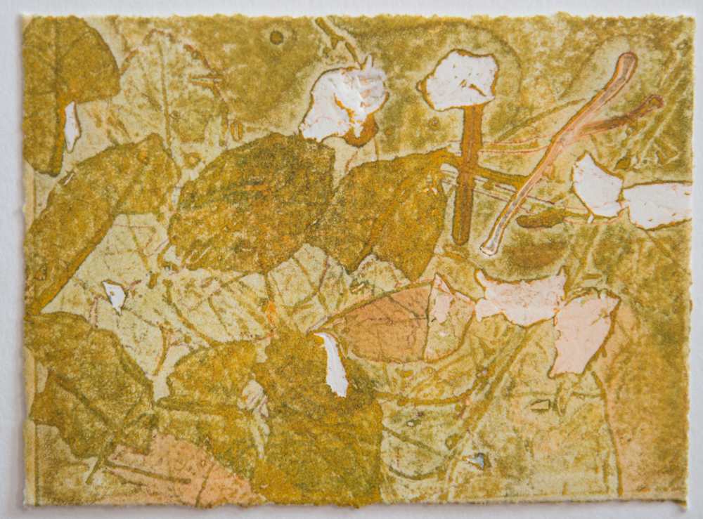 Fall Day 11 by Casey Blanchard, Image 1.