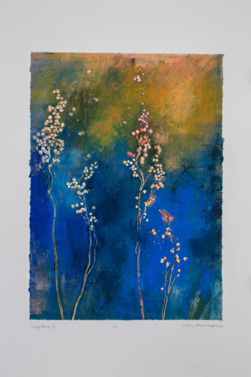 Unity Farm 1 by Casey Blanchard, Image 1.