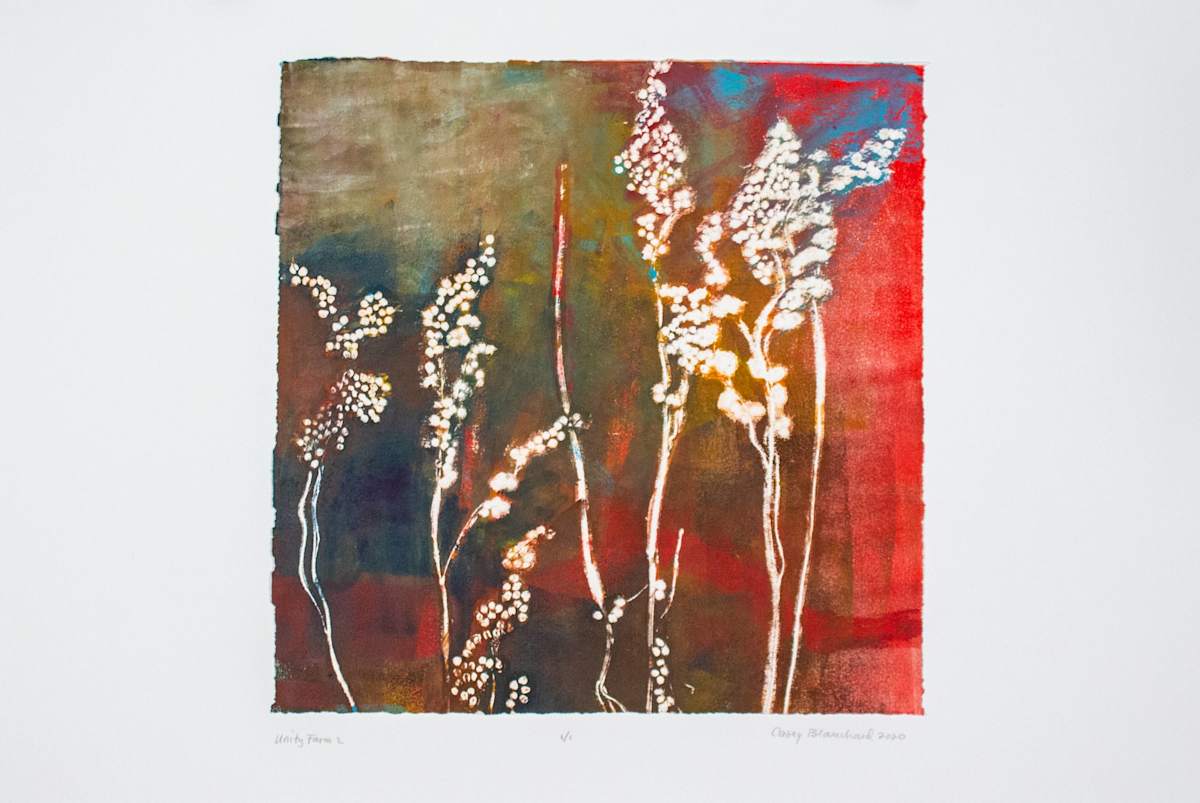 Unity Farm 2 by Casey Blanchard, Image 1.