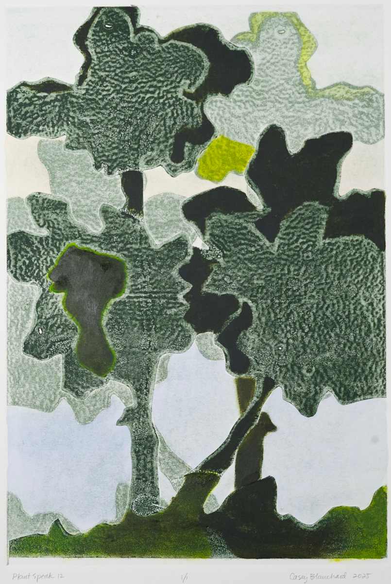 Plant Speak 12 by Casey Blanchard, Image 1.
