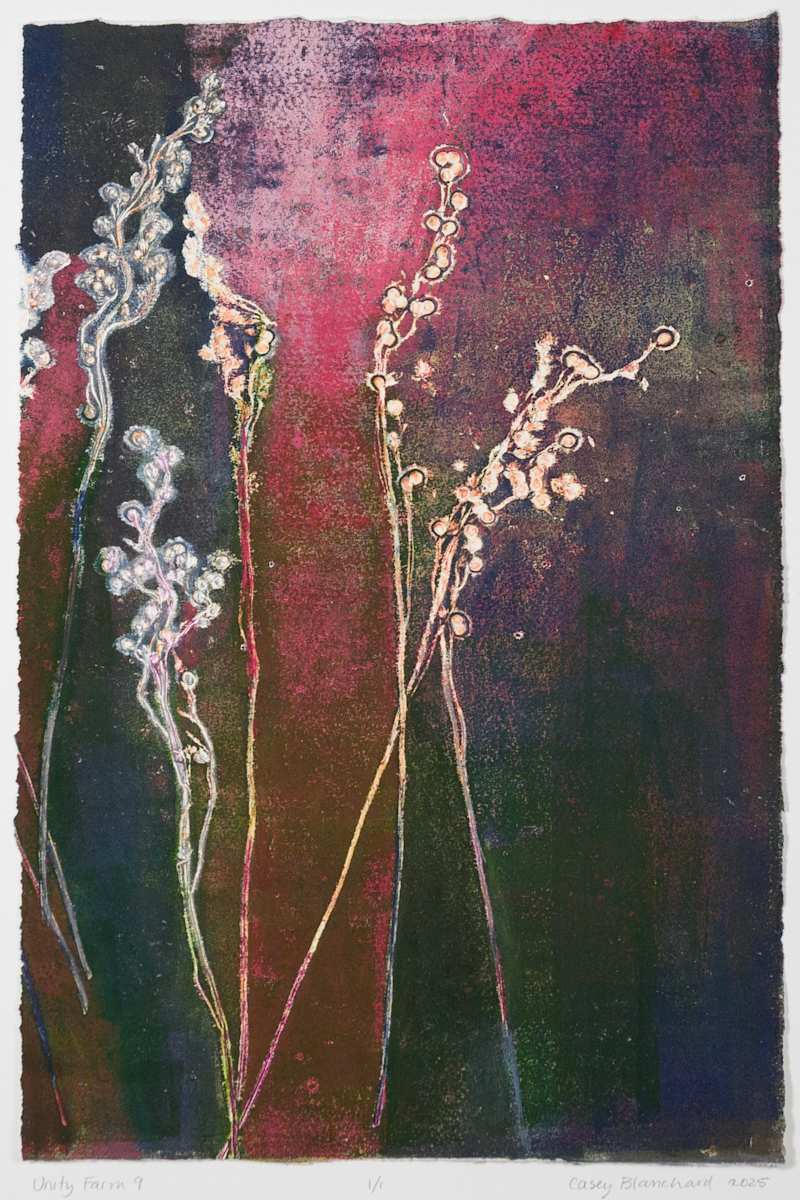 Unity Farm 9 by Casey Blanchard, Image 1.