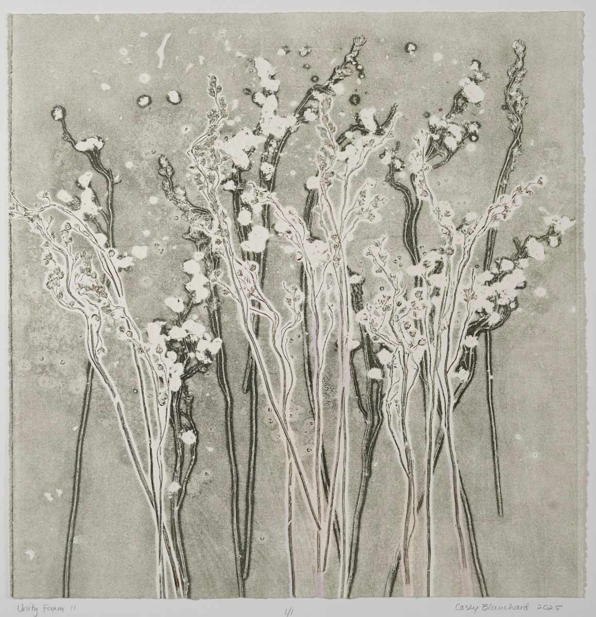 Unity Farm 11 by Casey Blanchard, Image 1.