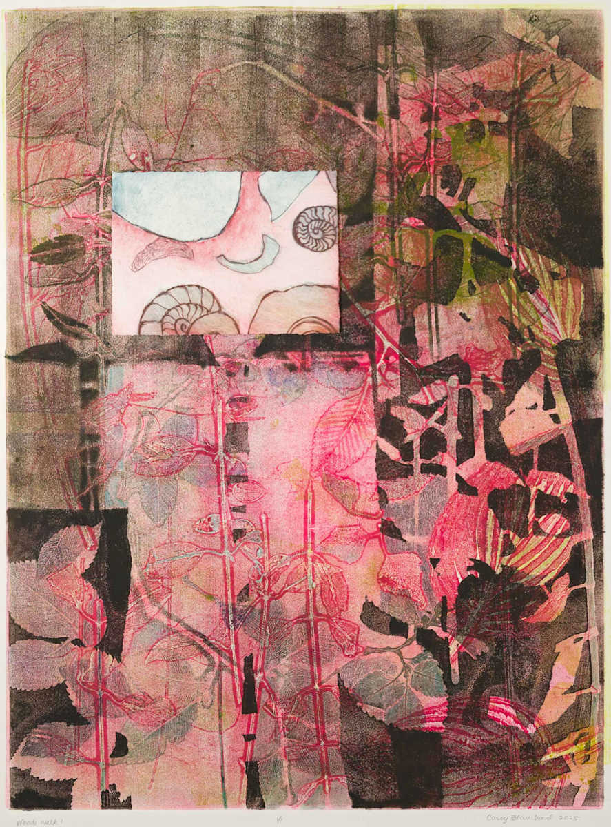 Woods Walk 1 by Casey Blanchard, Image 1.