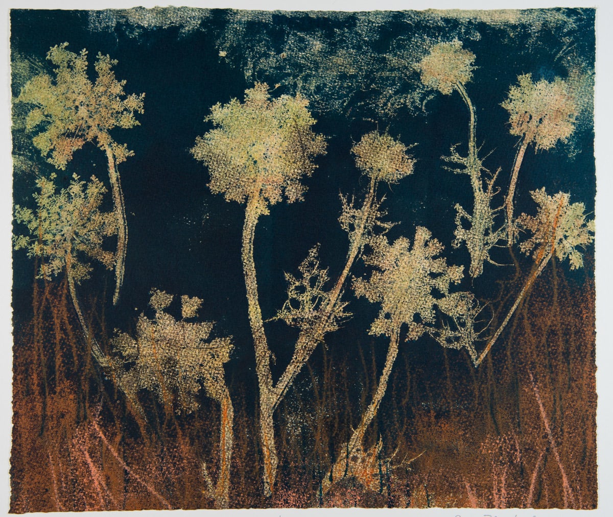 Summer Nights 20 by Casey Blanchard, Image 1.