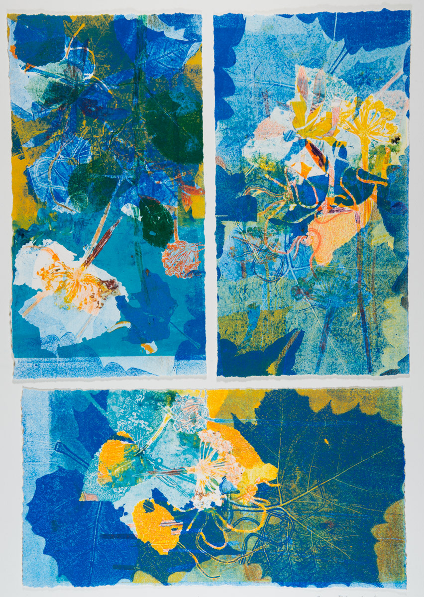 Summer Day by Casey Blanchard 