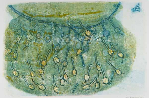 Rhodo Pods 1 by Casey Blanchard, Image 1.