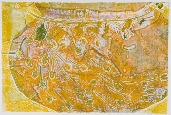 Rhodo Pods 3 by Casey Blanchard 