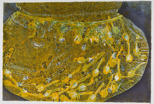 Rhodo Pods 4 by Casey Blanchard, Image 1.