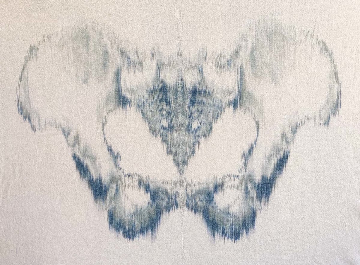 Pelvis 