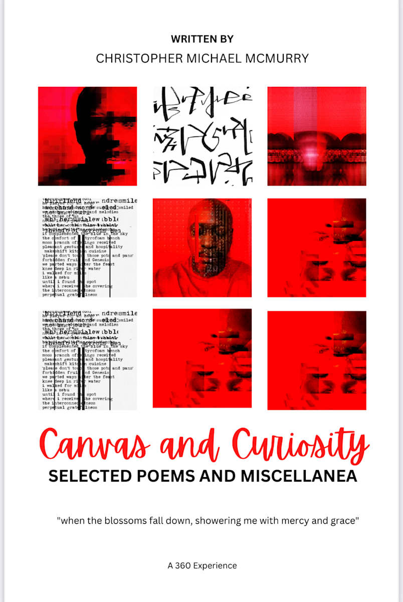 Canvas and Curiousity Book by Chris McMurry 