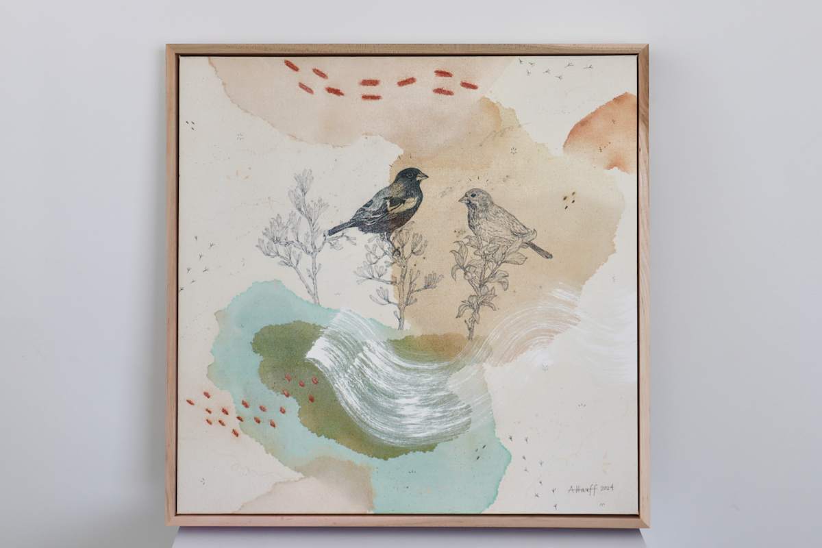 Lark Bunting Canvas Print by Alicia Hauff Studio 