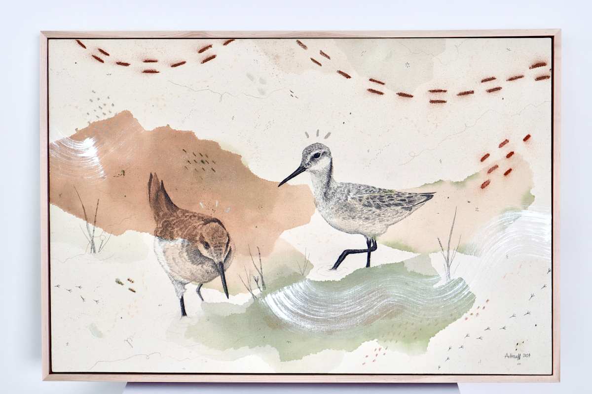 Wilson’s Phalaropes Put a Spin on It by Alicia Hauff Studio 