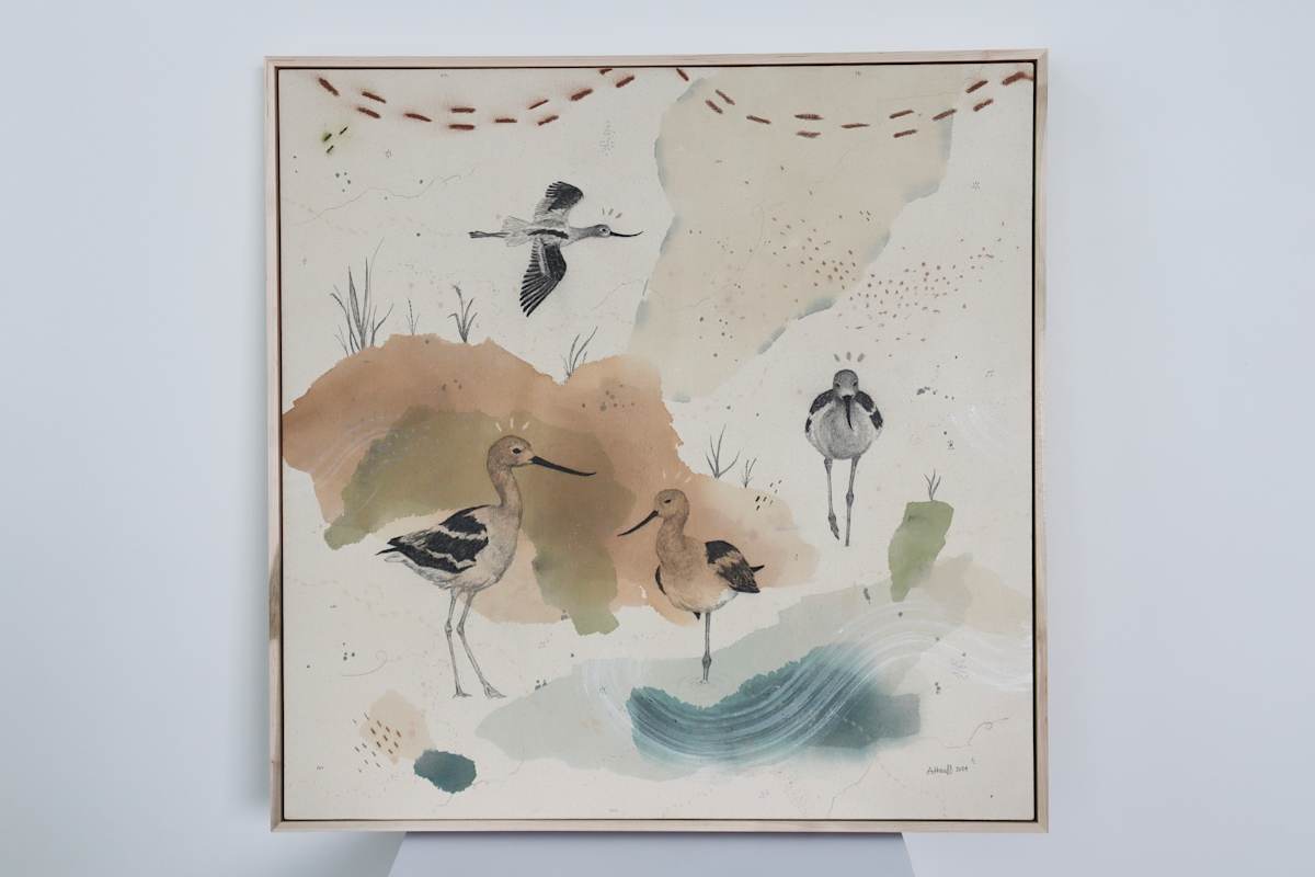 American Avocet, Aristocrat on Stilts by Alicia Hauff Studio 