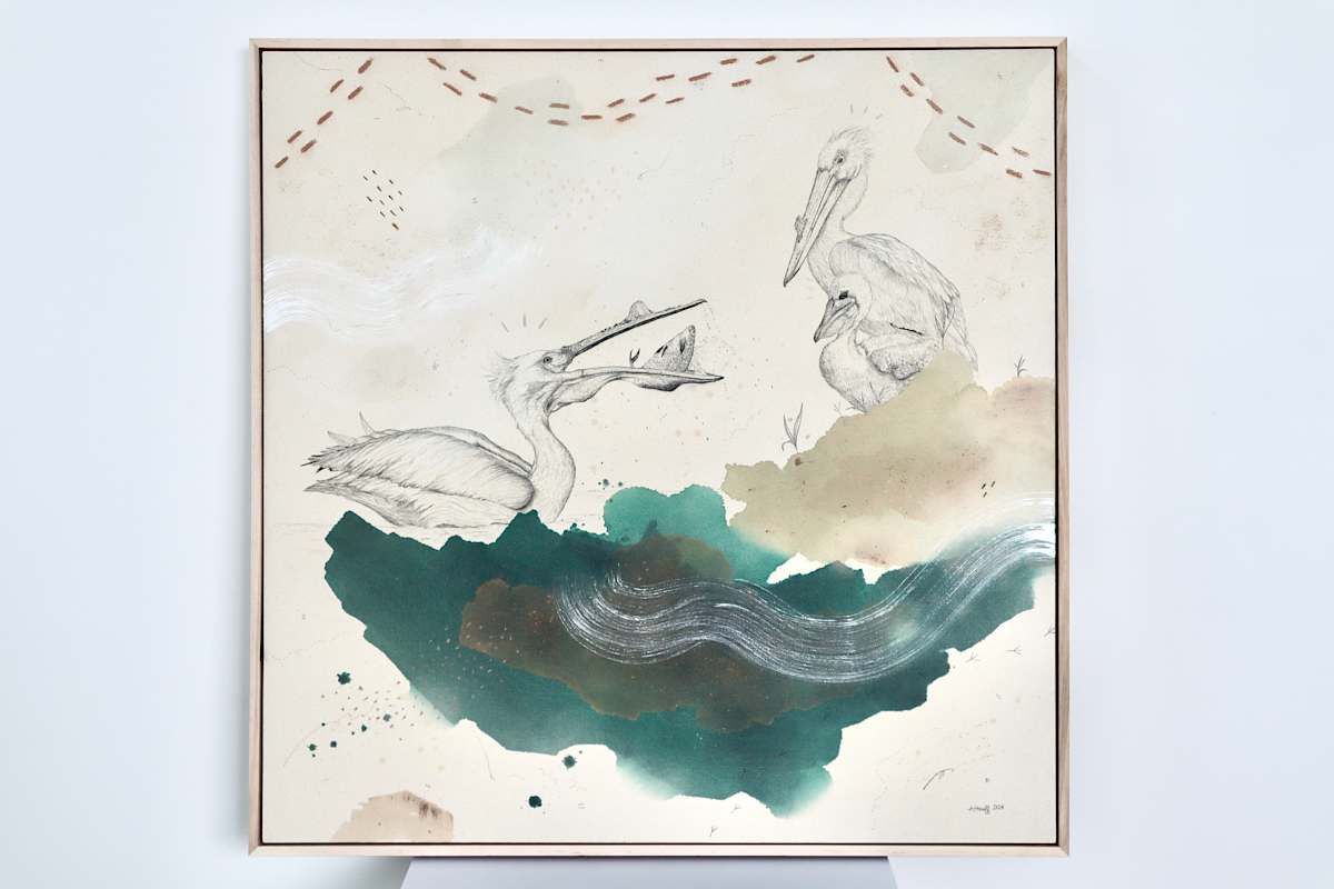 American White Pelican Has the Scoop by Alicia Hauff Studio 