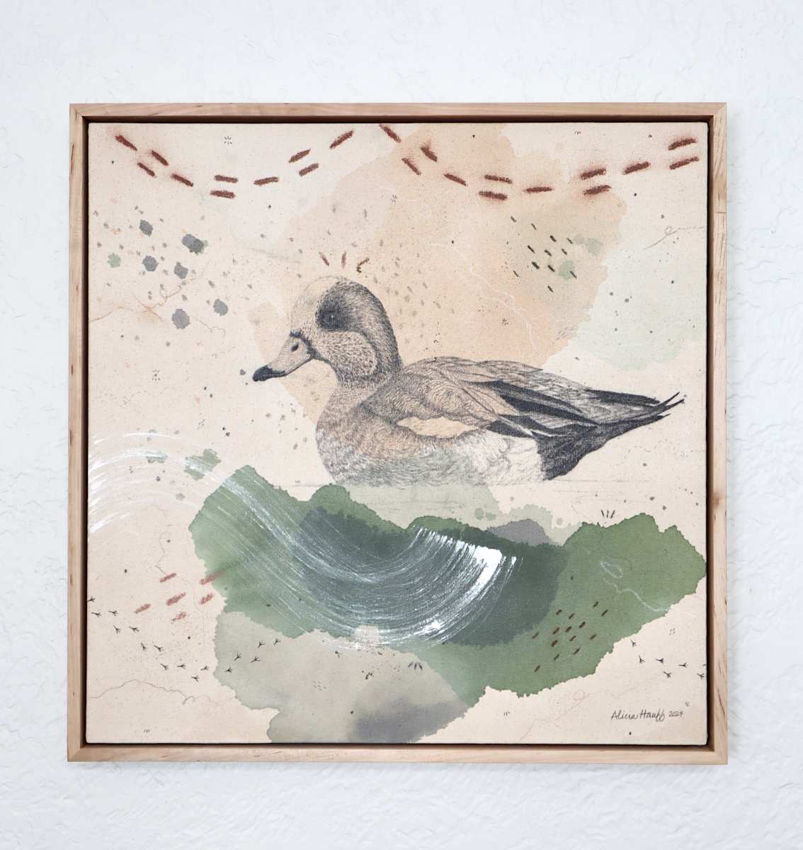 "American Wigeon, Dabbling With Pizazz" by Alicia Hauff Studio 
