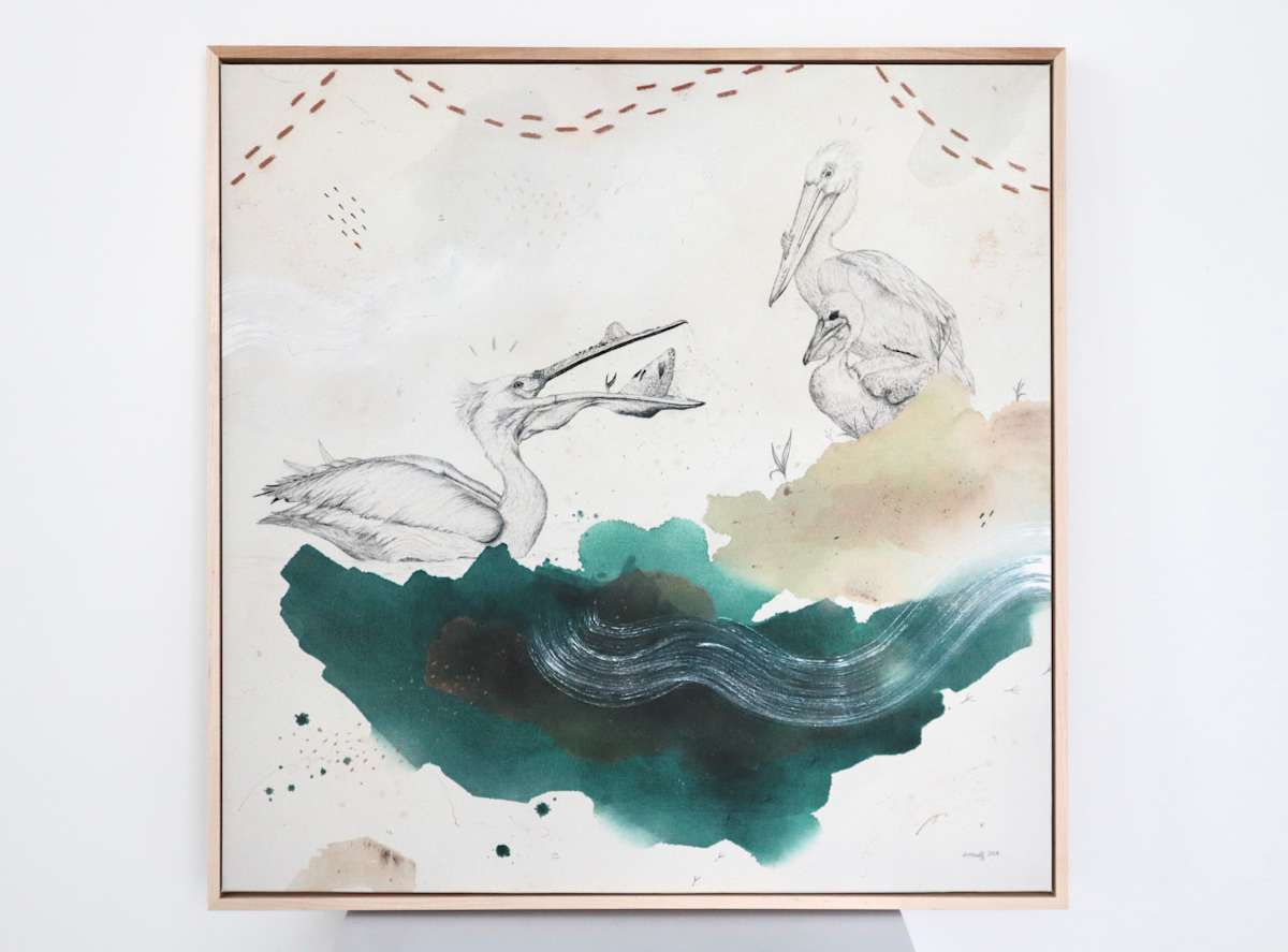 American White Pelican Canvas Print by Alicia Hauff Studio 
