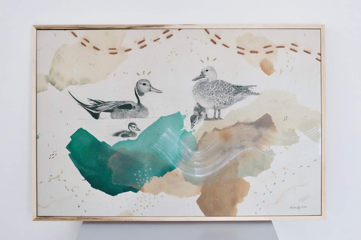 Northern Pintails Canvas Print by Alicia Hauff Studio 